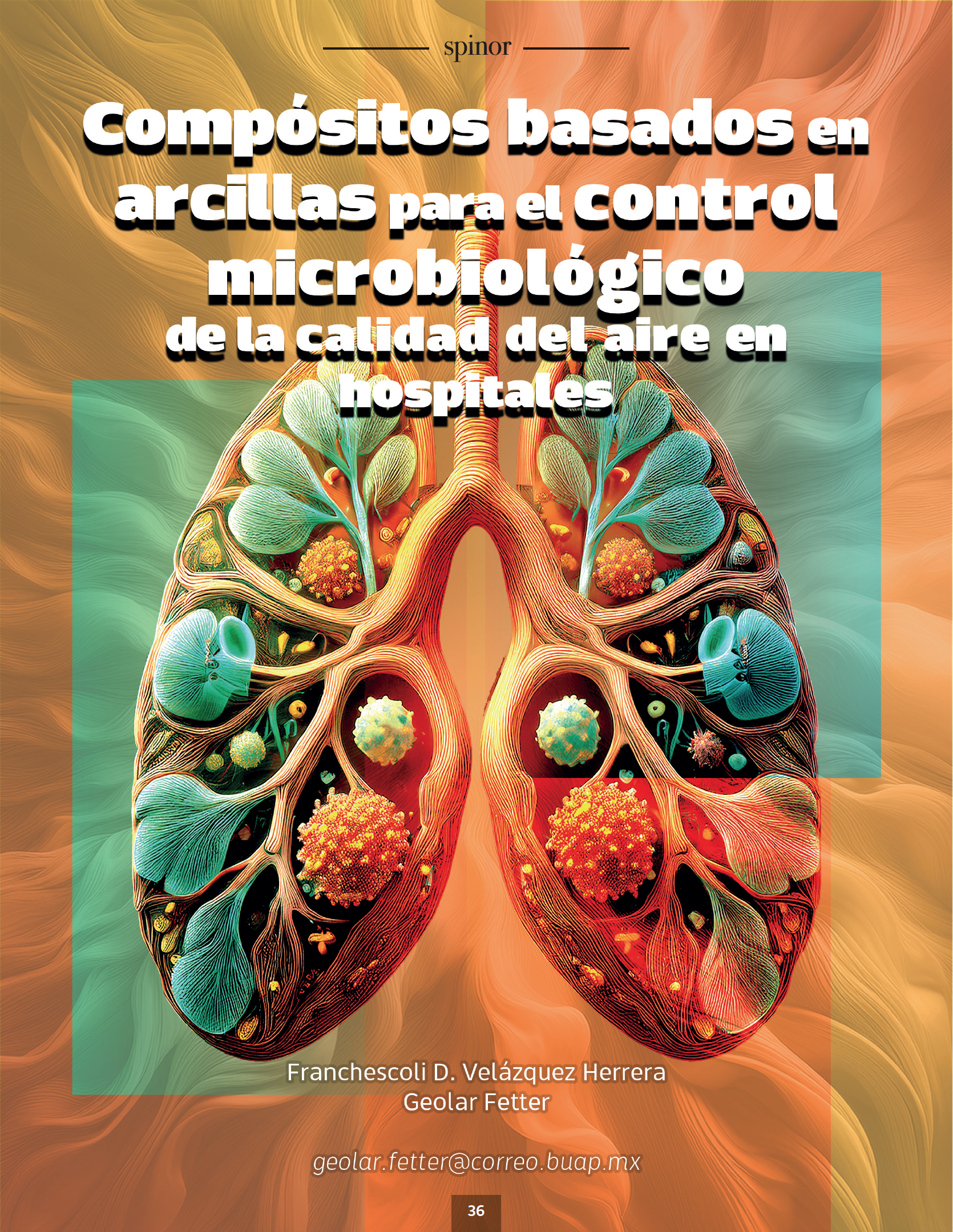 Imagen de articulo