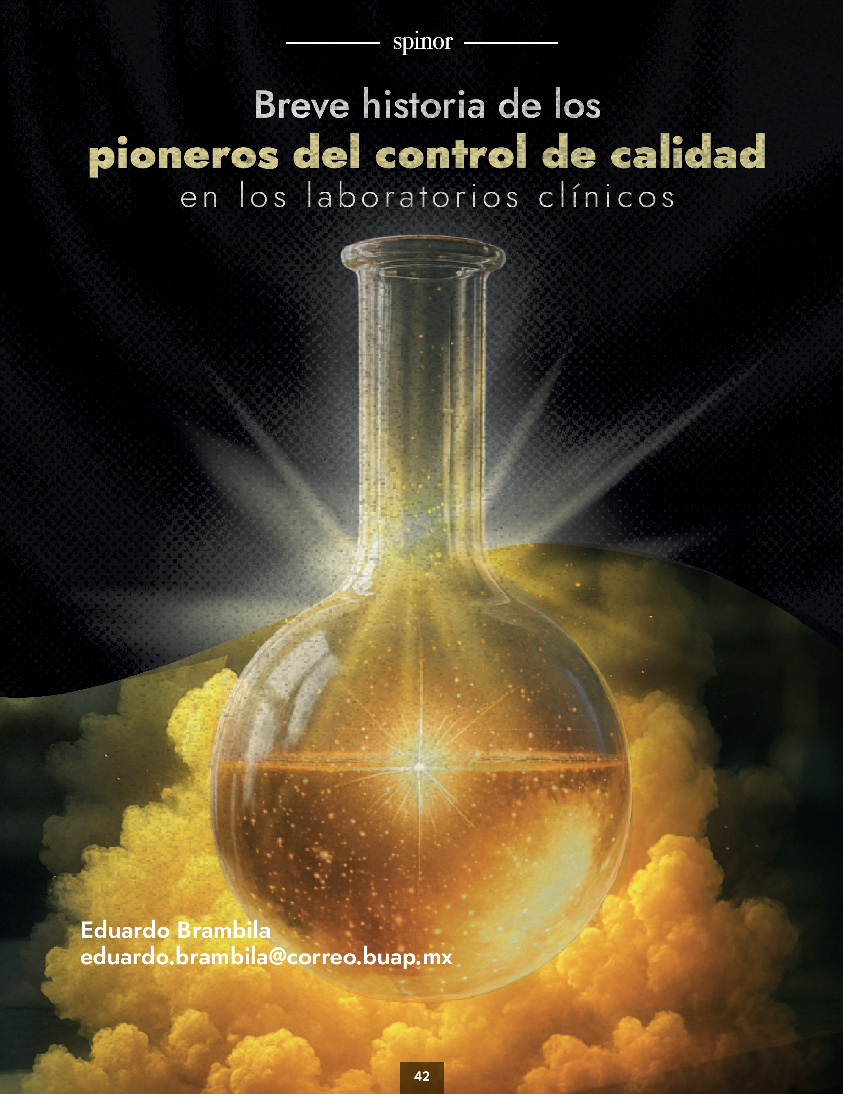 Imagen de articulo
