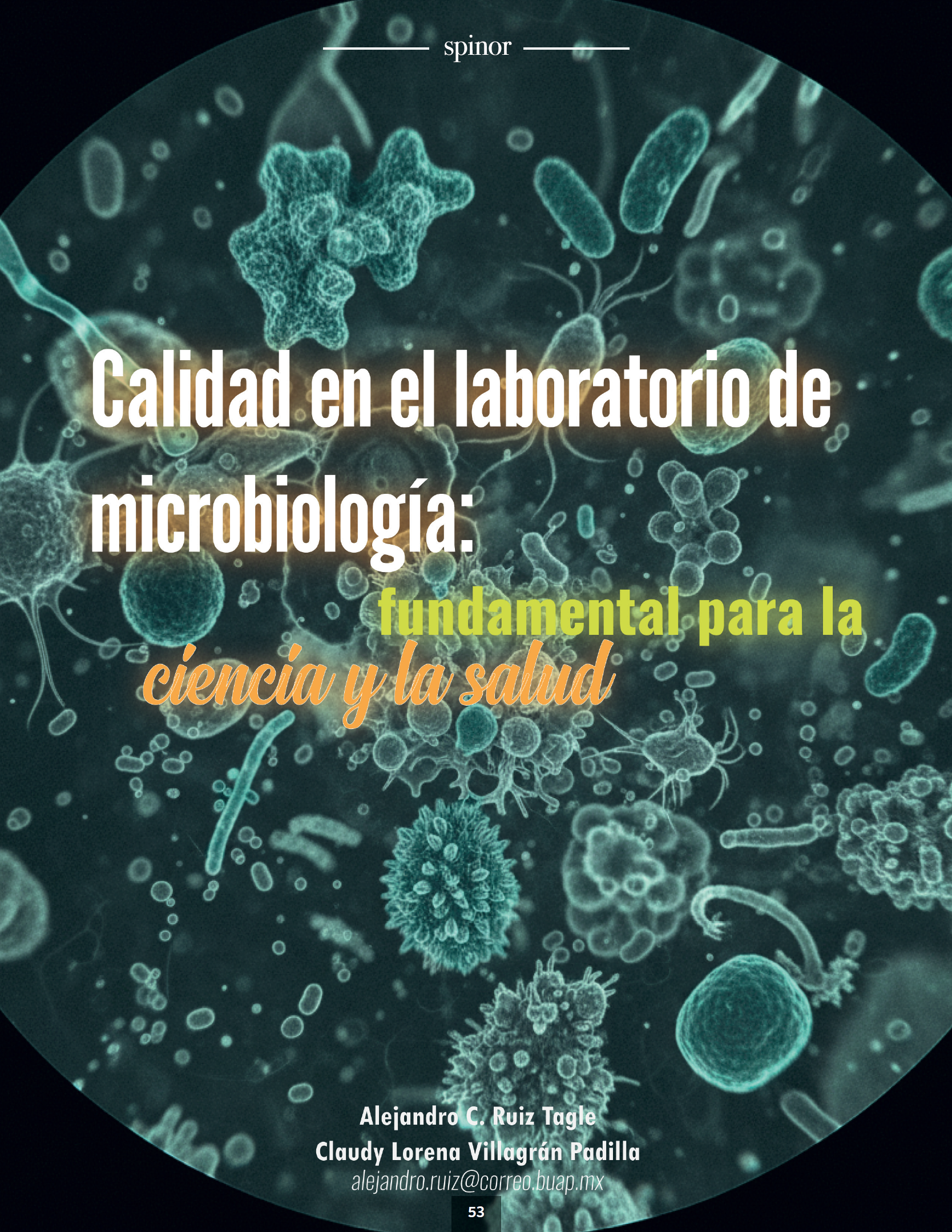 Imagen de articulo