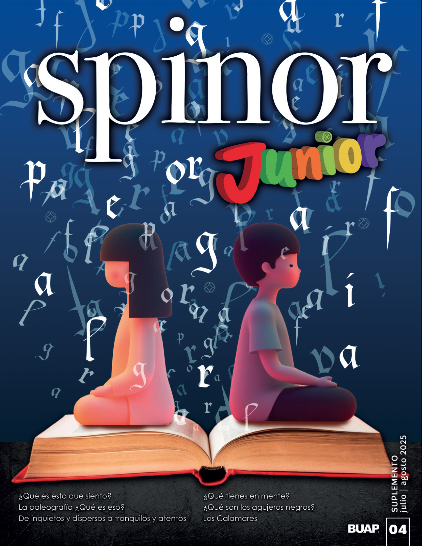 Imagen de articulo