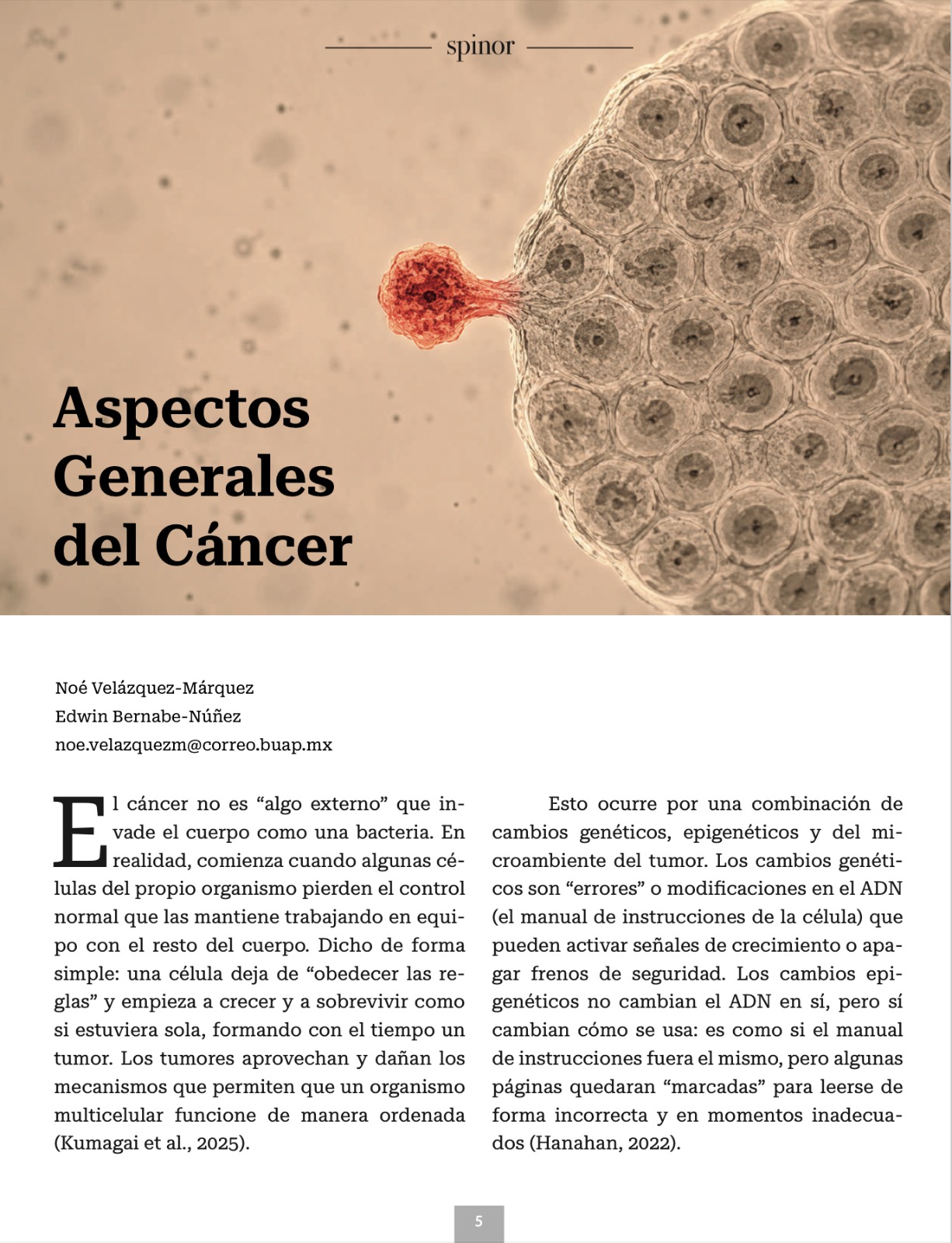 Imagen articulo