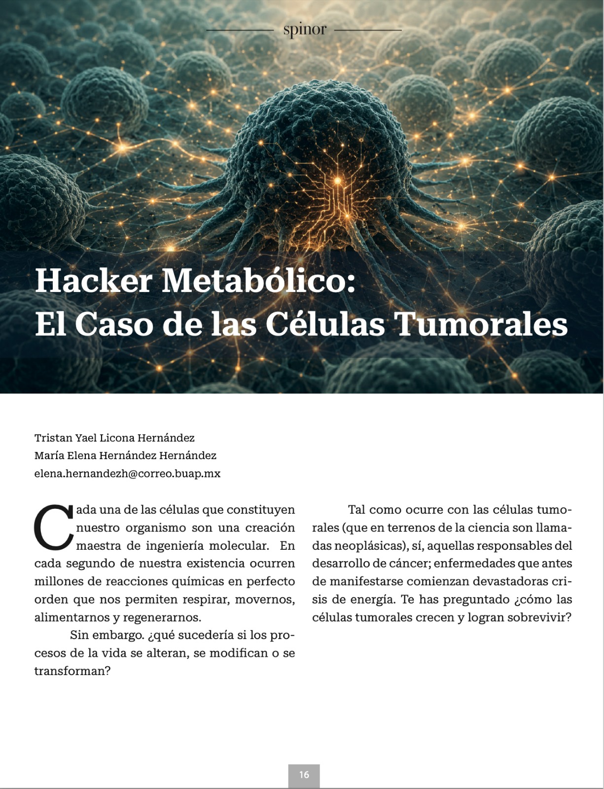 Imagen articulo