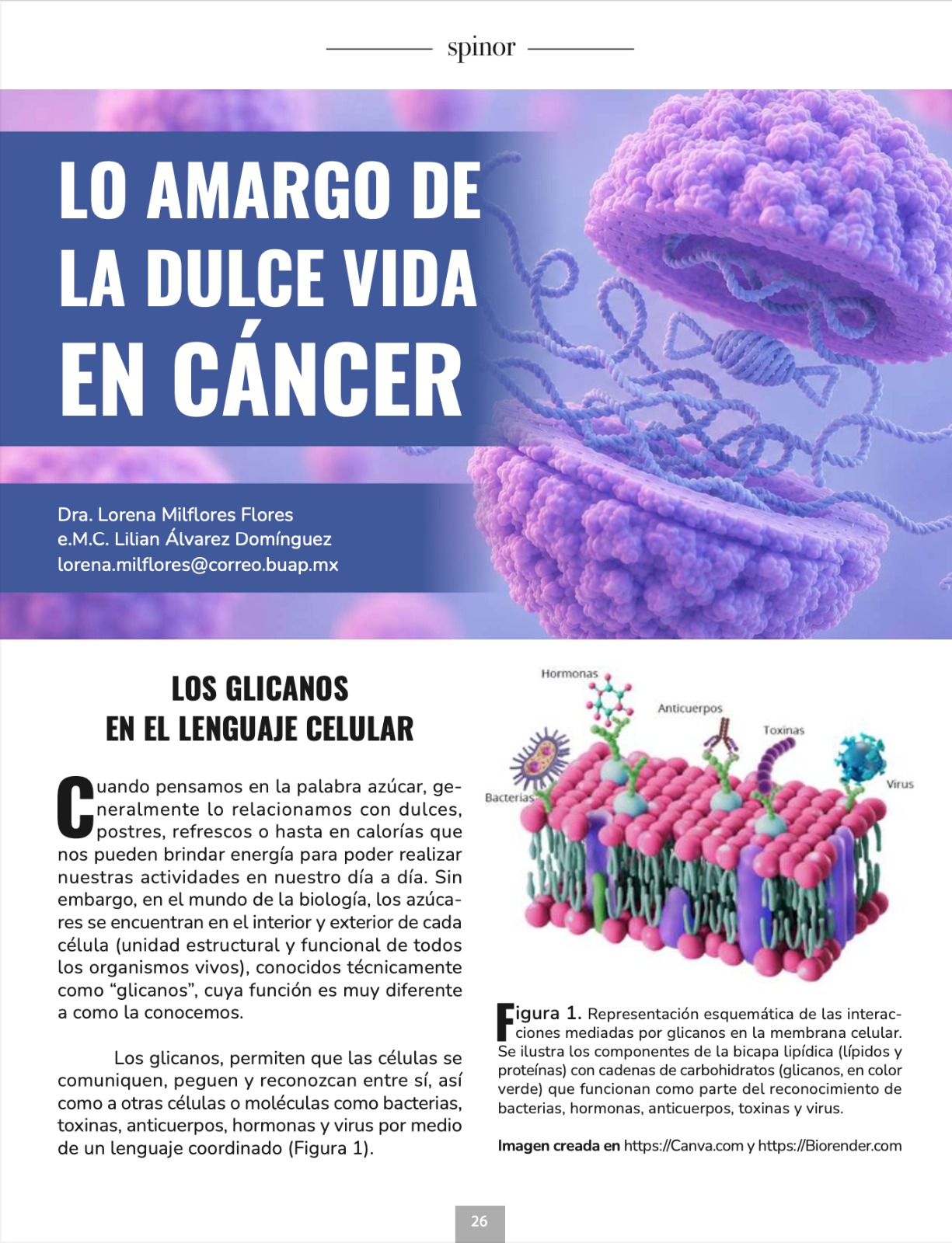 Imagen articulo