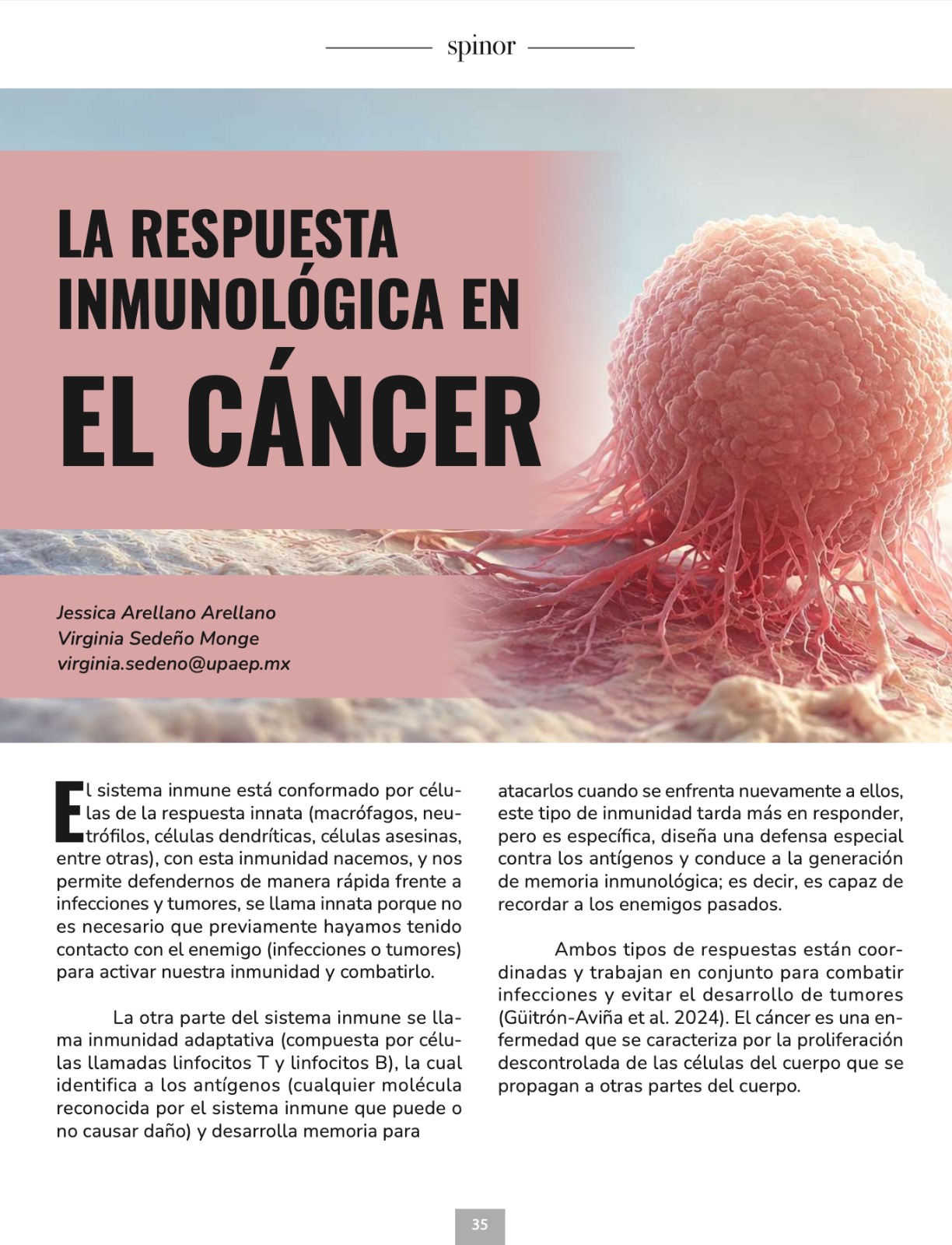Imagen articulo