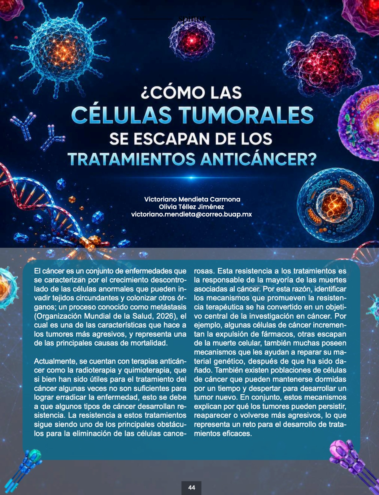 Imagen articulo