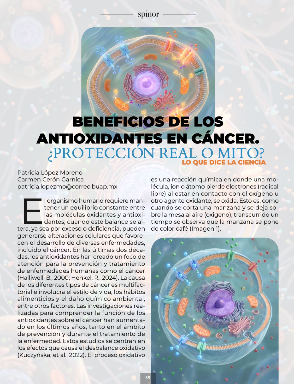 Imagen articulo