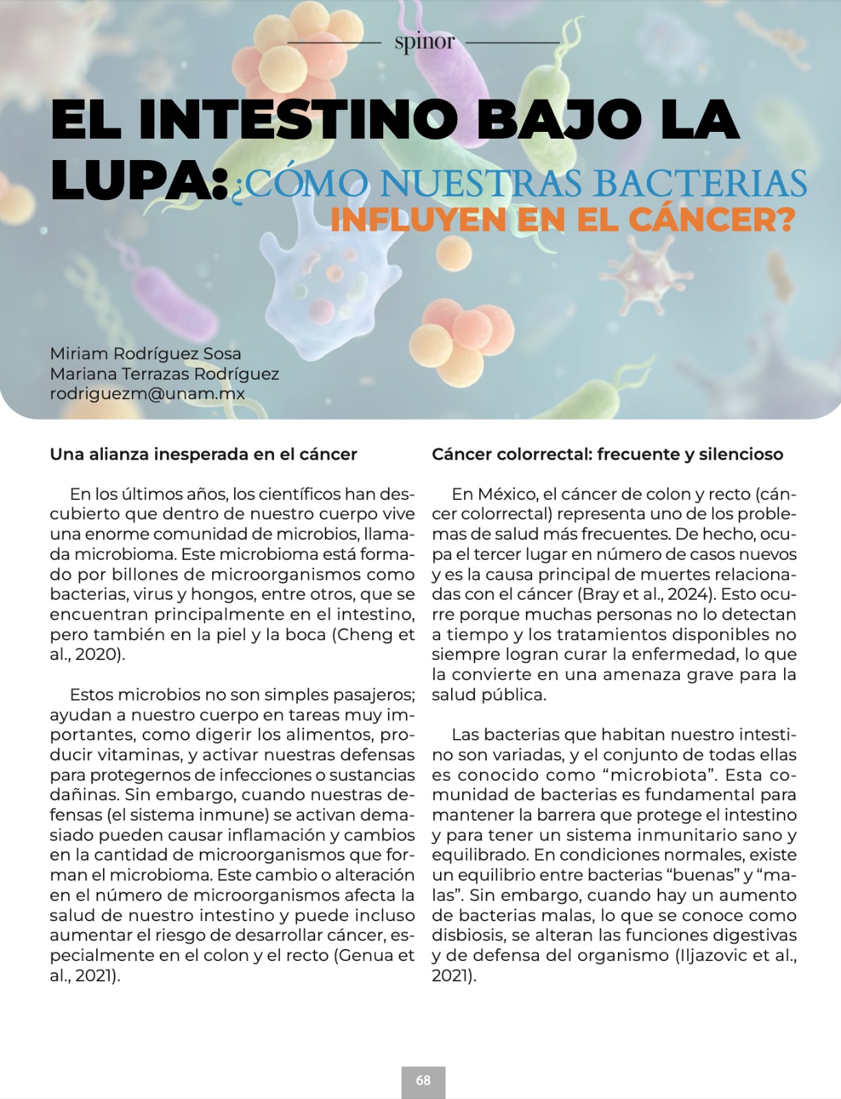 Imagen articulo
