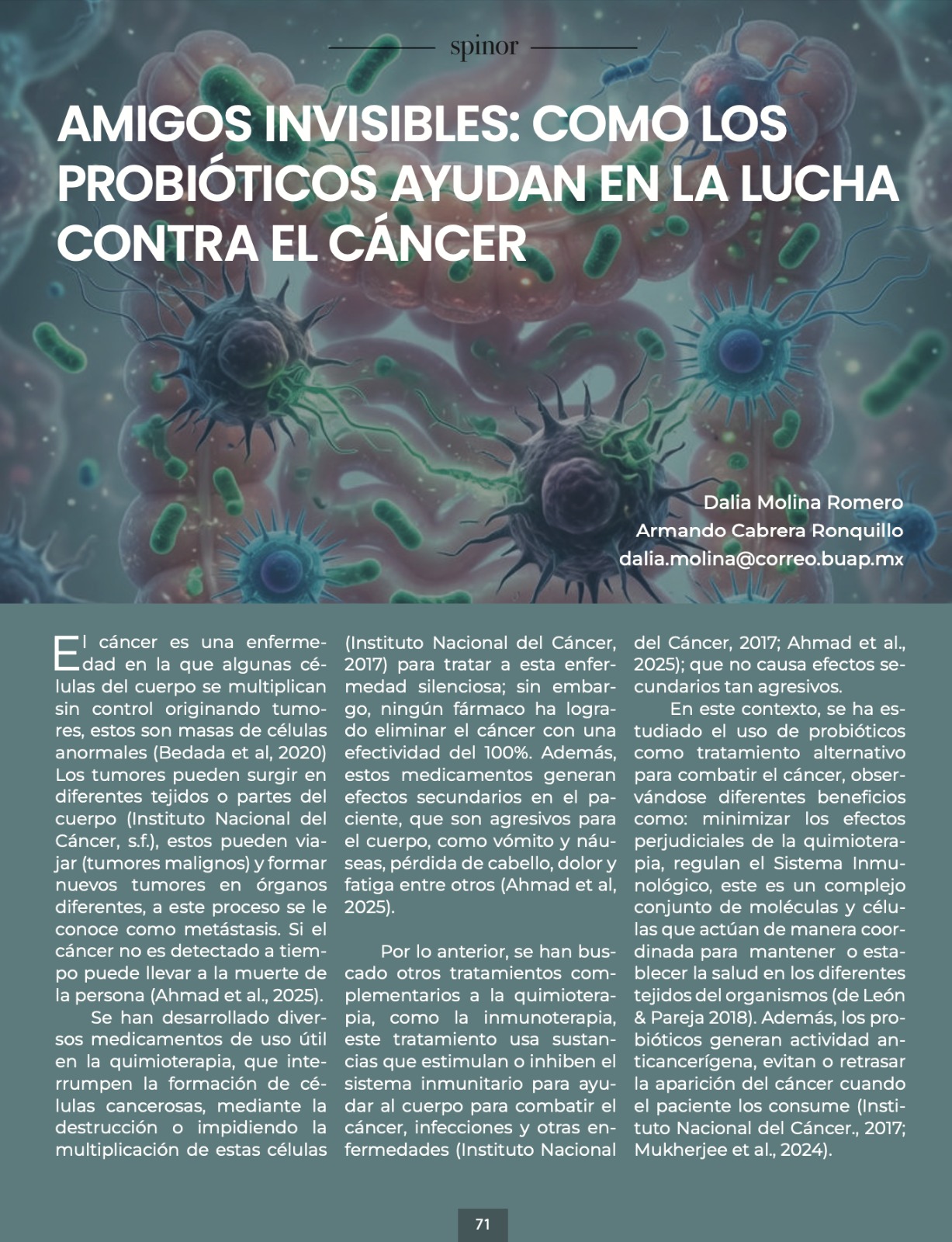 Imagen articulo