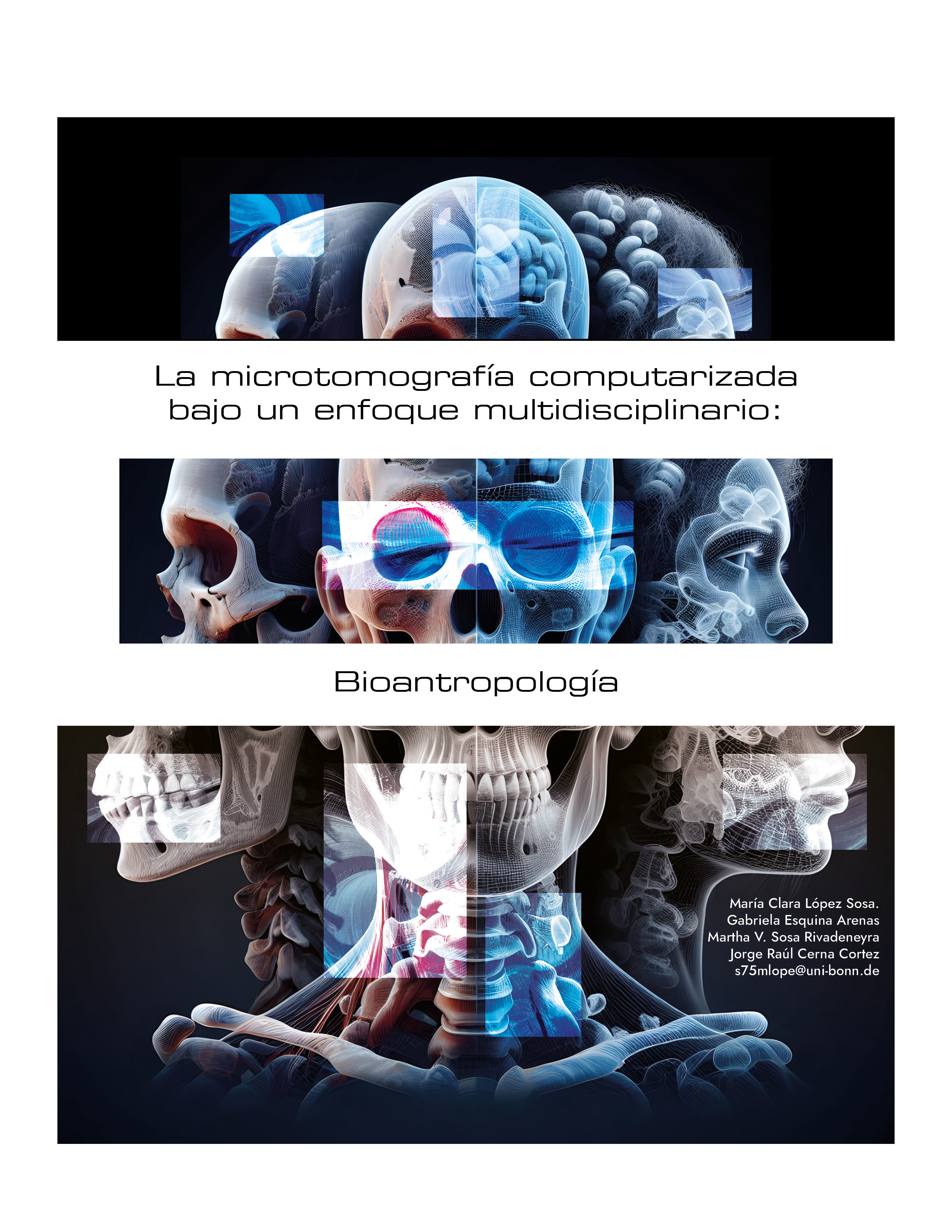 Portada del Articulo La Microtomografía Computarizada